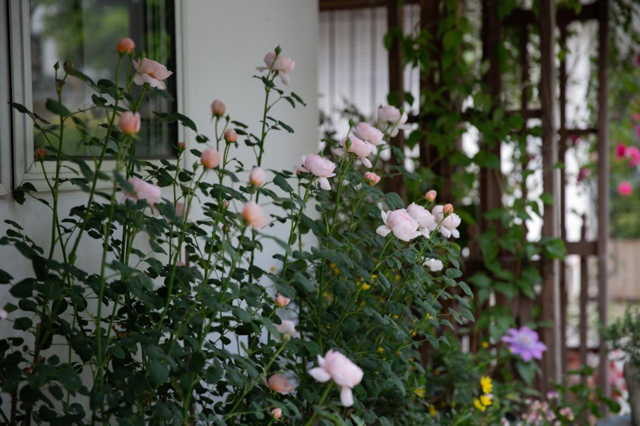 Hangzhou JiuYueJi Bed&Breakfast Exteriér fotografie